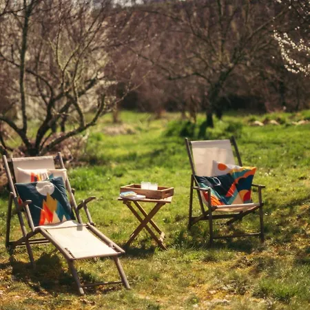 Cocon De Charme Et Jardin 1 Ha * Floressas