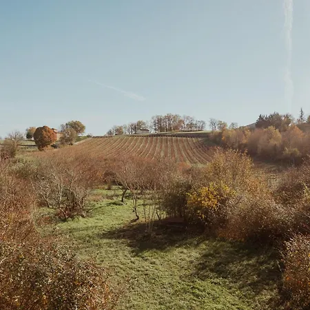 Prázdninový dům Cocon De Charme Et Jardin 1 Ha Floressas